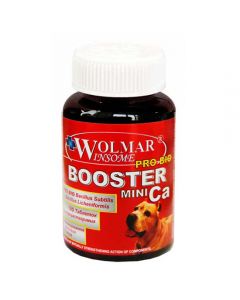 Wolmar Winsome Pro Bio Booster Ca Mini 180 tablets - cheap price - pharm-pills.com