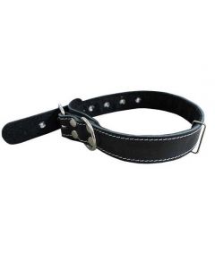 Single leather collar for dogs of medium and large breeds with lining 30mm - cheap price - pharm-pills.com