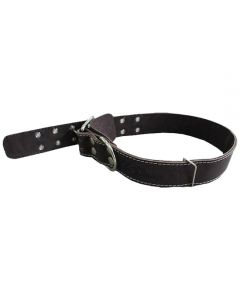 Collar for dogs of large breeds leather double 45mm - cheap price - pharm-pills.com