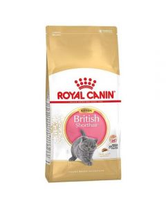 Royal Canin British Shorthair Kitten for British shorthair kittens 2kg - cheap price - pharm-pills.com