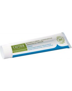 Buy Dentargil toothpaste with propolis for gum protection # CATTIER, 75 ml  | Online Pharmacy | https://pharm-pills.com