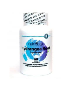 Buy Hydrangea to improve the condition of the genitourinary system, 60 capsules, Nutricare International Inc. (USA) | Online Pharmacy | https://pharm-pills.com