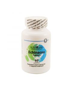 Buy Echinacea for strengthening the immune system, 60 caps, Nutricare International Inc. (USA) | Online Pharmacy | https://pharm-pills.com