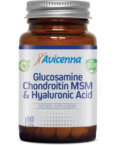 Buy Avicenna Glucosamine Chondroitin MSM Gialouranovaya acid and 60 tablets of 1150 mg | Online Pharmacy | https://pharm-pills.com