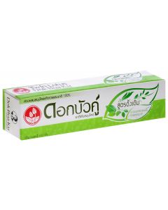 Buy Twin Lotus Toothpaste 'Herbal Original' With herbs original, 100 g | Online Pharmacy | https://pharm-pills.com