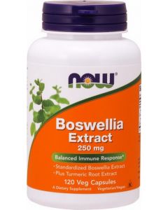 Buy Now Foods Boswellia 120 capsules, 250 mg (dietary supplement) | Online Pharmacy | https://pharm-pills.com