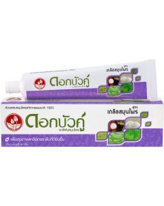 Buy Twin Lotus Toothpaste' Herbal Plus Salt 'with herbs and salt, 90 g | Online Pharmacy | https://pharm-pills.com