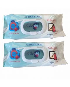 Buy Snow Lady antibacterial wipes 120 pcs. 2 pack. | Online Pharmacy | https://pharm-pills.com