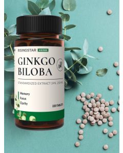 Buy Hygko biloba leaf extract, vitamins for the brain and nervous system, memory improvement and attention, tab. 220 | Online Pharmacy | https://pharm-pills.com