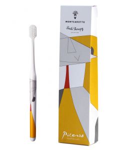 Buy Picasso's toothbrush from the collection of Abstract Artists  | Online Pharmacy | https://pharm-pills.com