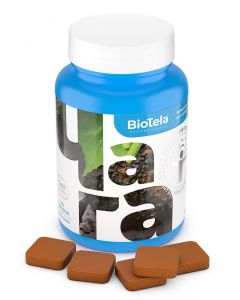 Buy Biotela 'Chaga with cinnamon', concentrate for preparing a drink, 45 briquettes | Online Pharmacy | https://pharm-pills.com