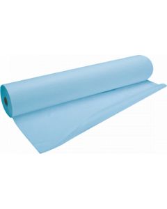 Buy PROF-ROYAL Standart disposable sheet, 80 x 200 cm, 100 pcs | Online Pharmacy | https://pharm-pills.com