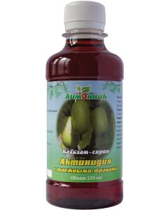 Buy NPK lemongrass. 'Balsam-syrup Actinidia with taiga herbs' Avitaminosis. Gastrointestinal tract. Fortifying. 250 ml. | Online Pharmacy | https://pharm-pills.com