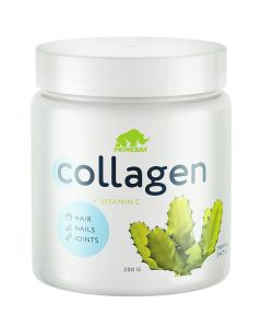 Buy Dietary supplement (BAA) for food 'Collagen' with taste 'Tropical cactus' | Online Pharmacy | https://pharm-pills.com