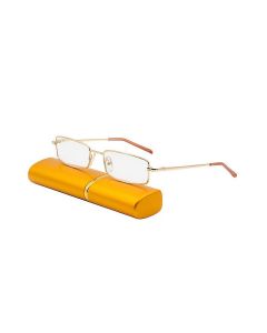 Buy Reading glasses in a case with a napkin and a cord +2.5 | Online Pharmacy | https://pharm-pills.com