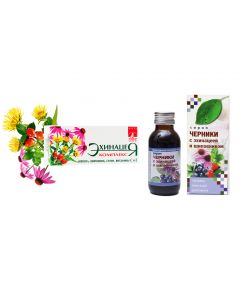 Buy Bioinventics. Complex for immunity 'Echinacea', 40 dragees + Blueberry + rosehip syrup 'Bioinventica', 100 ml. | Online Pharmacy | https://pharm-pills.com