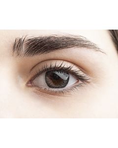 Buy Geo Medical Dark colored contact lenses 12 months, 0.00 / 14.2 / 8.6, dark gray, 2 pcs. | Online Pharmacy | https://pharm-pills.com