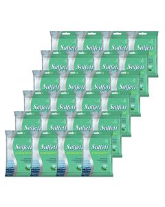 Buy MEGAPAK Salfeti antibacterial wet wipes 20pcs (24) | Online Pharmacy | https://pharm-pills.com