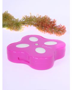 Buy Container for contact lenses | Online Pharmacy | https://pharm-pills.com