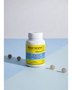 Buy Bactrum 60 to normalize the gastrointestinal tract | Online Pharmacy | https://pharm-pills.com