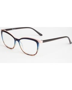 Buy Ready reading glasses with +2.5 diopters | Online Pharmacy | https://pharm-pills.com