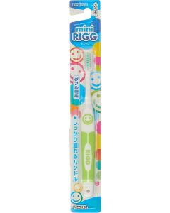 Buy Ebisu Rigg Hard Mini Toothbrush, 1 pc. Green colour. | Online Pharmacy | https://pharm-pills.com